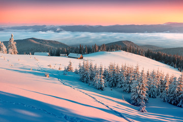 Cold morning scene of mountain village in high mountains. Picturesque winter view of Carpathians. Great sunrise in mountain valley with snow covered fir trees. Beauty of nature concept background.