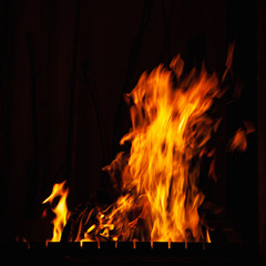 Fire flame. Hot fire burning at night. Bonfire in the barbecue, fireplace and hearth.