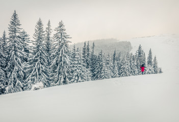 Fantastic winter panorama of mountain forest with snow covered fir trees. Bright outdoor scene, Happy New Year celebration concept. Retro style filterd.