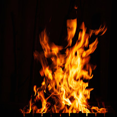 Fire flame. Bonfire in the barbecue, fireplace and hearth. Burning fire at night.