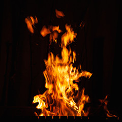 Fire flame. Bonfire in the barbecue, fireplace and hearth. Fire burning at night.