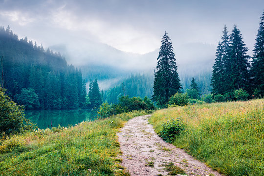 Nice morning scene of Lacu Rosu lake. Foggy summer sunrise in Harghita County, Romania, Europe. Beauty of nature concept background.
