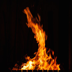 Fire flames. Bonfire in the barbecue, fireplace and a hot home. Fire burning at night.