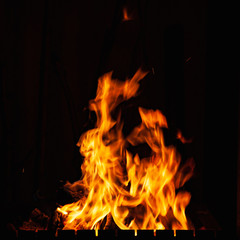 Fire flames. Beautiful bright burning fire at night. A fire in the grill, fireplace and hearth.