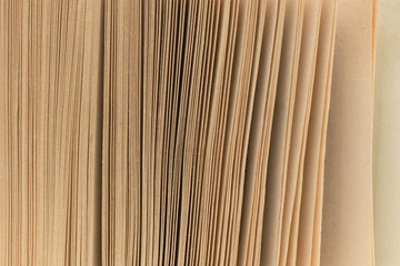 Old book pages as background