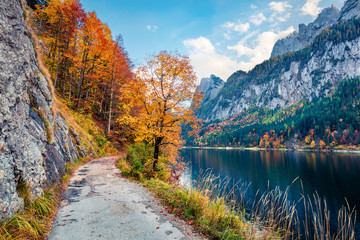 Amazing autumn scene of Vorderer / Gosausee lake. Gorgeous morning view of Austrian Alps, Upper Austria, Europe. Beauty of nature concept background. Amazing world of Alpine Mountains.