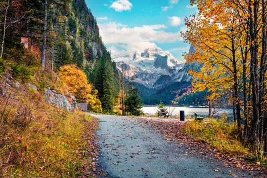 Captivating autumn scene of Vorderer / Gosausee lake with Dachstein glacieron background. Stunning morning view of Austrian Alps, Upper Austria, Europe. Traveling concept background.