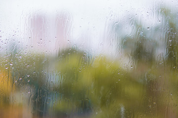 Drops of rain flow down the glass against the backdrop of an autumn yard