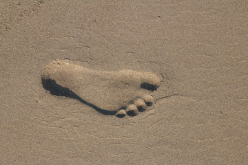 Fototapeta na wymiar Singel footprint on sand beach
