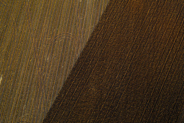 Aerial: geometrical shapes of corn field and arable field