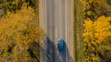 Drone's Eye Autumn road: aerial top down view of lane between foliage tree