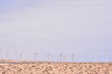 Dry Desert Landscape