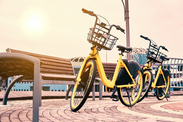 yellow bicycles are parked on the street. green transport concept.