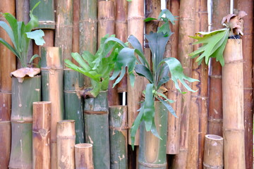 wooden fence on a wall