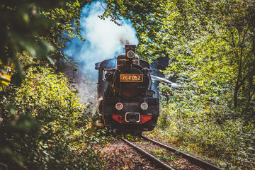 vintage old steam train in the forest - slow travel