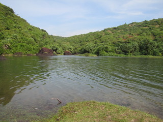 Palm leaves.Tropical Forest on the island in indian ocean.Beautiful landscape of tropical jungle .Picture of a tropical forest background