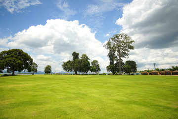 Manicured lawns and shrubs in the resort