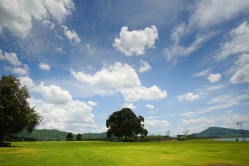 Manicured lawns and shrubs in the resort