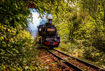 vintage old steam train in the forest - slow travel