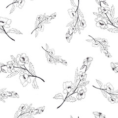 Fototapeta premium Decorative elements floral graphic isolated pattern hand draw illustration.