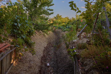 Vilkovo, Odessa region, Ukrainian Venice in the Danube Delta