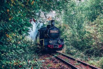 vintage old steam train in the forest - slow travel