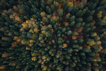 Aerial top view fall autumn forest with small blue creek