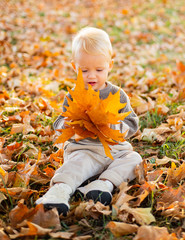 Adorable little baby girl sitting on the ground in park and playing with autumn leaves on a bright...
