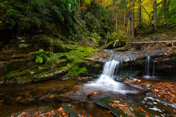 A shot of colorful forest with a little creek, taken in the Rodopi mountains, Bulgaria, in the magical area called Waterfalls' canyon. Waterfall in the autumn