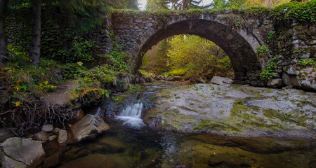 Fototapeta na wymiar A shot of colorful forest with a little creek under the bridge , taken in the Rodopi mountains, Bulgaria, in the magical area called Waterfalls' canyon. Waterfall in the autumn