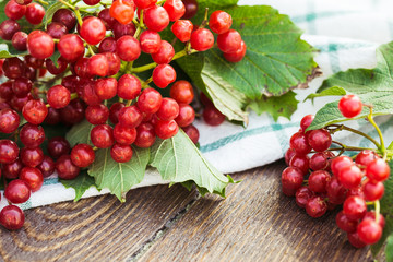 Viburnum berries with bunches. Viburnum on wooden background