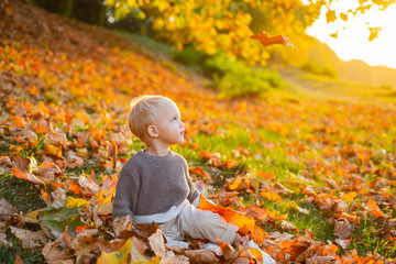 Cute little girl sitting on the covered leaves of the earth watching the leaves fall. Happy...