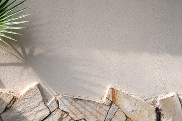palm tree leaves cast shadow on an orange textured concrete wall. Summer concept, exotic travel....