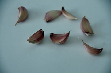 garlic on white  background