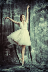 delicate dancing ballerina