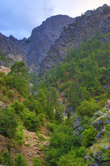 Fototapeta na wymiar rocks in Goynuk Canyon, Turkey