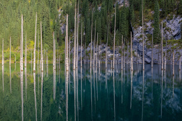 KAINDY LAKE – DER VERSUNKENE SEE, KASACHSTAN