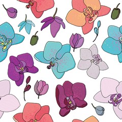 phalaenopsis orchid vector seamless pattern without background