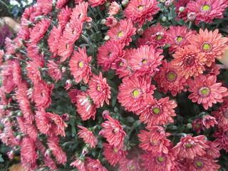 fabulous city in Moscow