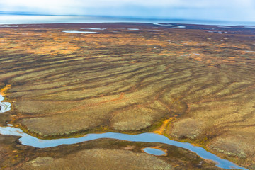 Photographing from a helicopter in the Arctic. Autumn nature landscape of the northern tundra. The landscape of many lakes, rivers, variegated mosses and lichens. Gloomy autumn sky.