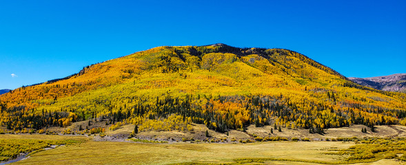 Autumn Aspen Mountain in Fall Color