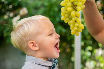 Boy eating grapes outdoor. Little child enjoy walk. Little child have fun on fresh air. Boy in suit and bowtie.