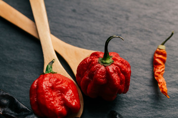 Hottest pepper in the world. Trinidad Scorpion Butch, thousands of times more spicy than Havana. On...