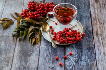 Hot healing tea, mountain ash tea. Applied with a lack of vitamins, anemia, metabolic disorders. Reduces bad cholesterol in the blood, Healing drink in a cup