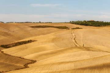 Fototapeta na wymiar Typical landscapes for Siena Province in Tuscany, Italy. Cypress hills, plowed fields, roads and houses. Begining of autumn season.