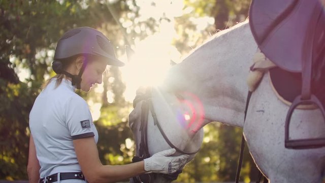 side view: Embrace with a horse 