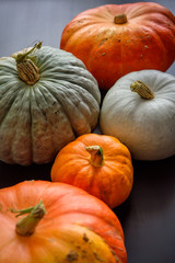 Diverse assortment of pumpkins, close up. Thanksgiving day, autumn harvest. Healthy vegetarian food.