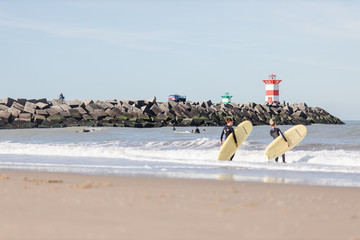 Nordsee Meer Möven und Lichtturm am Strand