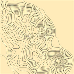 Topographic map background. Grid map. Abstract vector illustration.