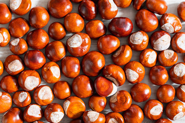 beautiful autumn chestnut kernel background close up top view